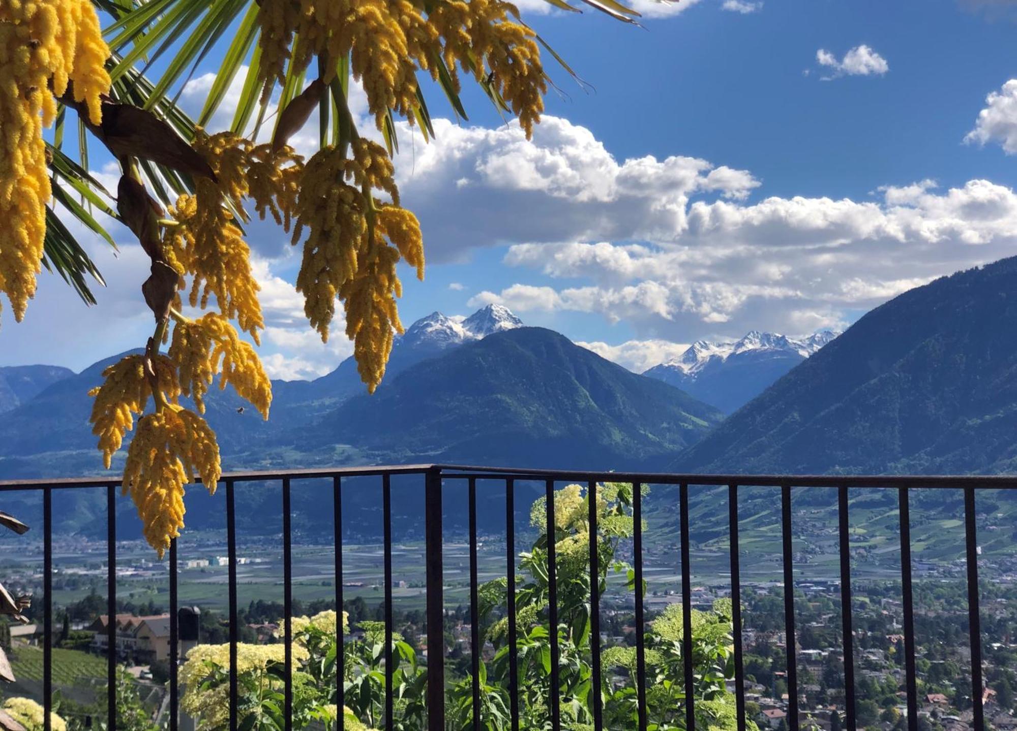 Der Blaue Reiter Aparthotel Schenna Luaran gambar